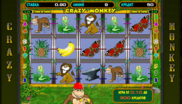 Crazy Monkey 2